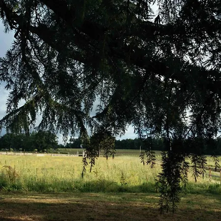 Maison Proche St Emilion - Luxe *