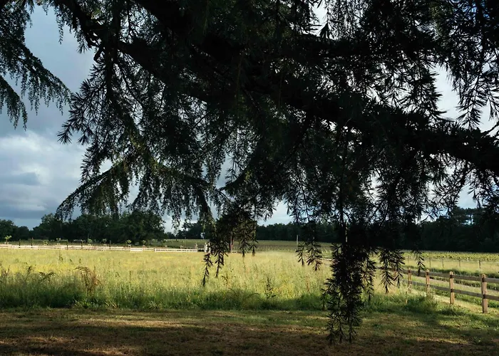 Maison Proche St Emilion - Luxe *